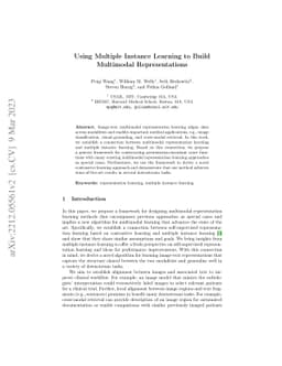 Using Multiple Instance Learning to Build Multimodal Representations