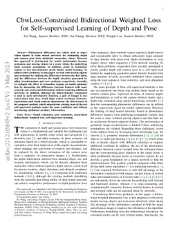 CbwLoss: Constrained Bidirectional Weighted Loss for Self-supervised
  Learning of Depth and Pose