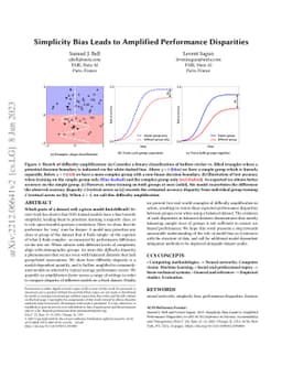 Simplicity Bias Leads to Amplified Performance Disparities