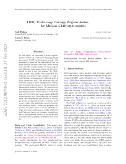 TIER: Text-Image Entropy Regularization for CLIP-style models