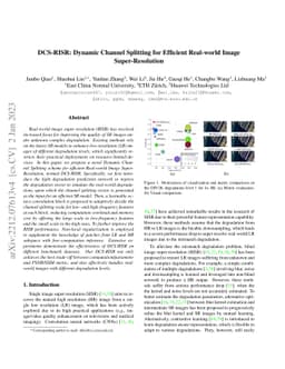 DCS-RISR: Dynamic Channel Splitting for Efficient Real-world Image
  Super-Resolution