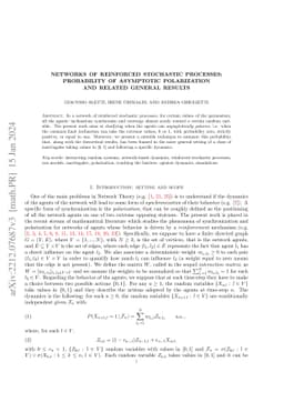 Networks of reinforced stochastic processes: probability of asymptotic
  polarization and related general results