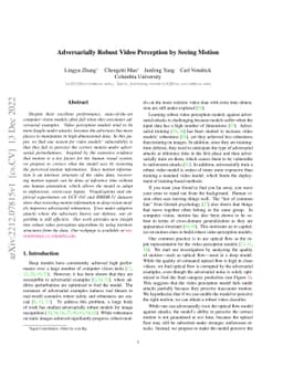 Adversarially Robust Video Perception by Seeing Motion