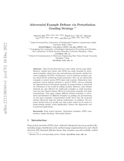 Adversarial Example Defense via Perturbation Grading Strategy