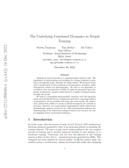 The Underlying Correlated Dynamics in Neural Training