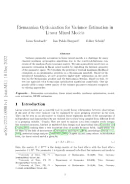 Riemannian Optimization for Variance Estimation in Linear Mixed Models