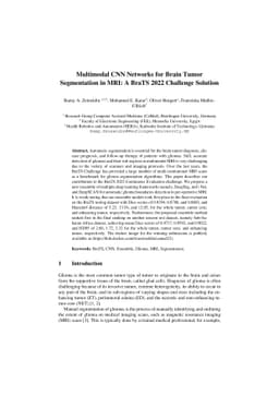 Multimodal CNN Networks for Brain Tumor Segmentation in MRI: A BraTS
  2022 Challenge Solution