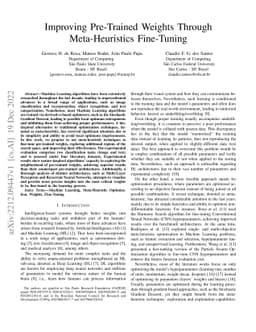 Improving Pre-Trained Weights Through Meta-Heuristics Fine-Tuning