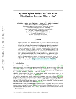 Dynamic Sparse Network for Time Series Classification: Learning What to
  "see''