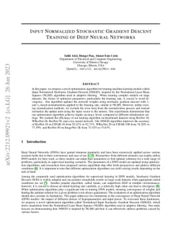 Input Normalized Stochastic Gradient Descent Training of Deep Neural
  Networks
