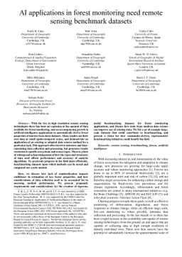 AI applications in forest monitoring need remote sensing benchmark
  datasets