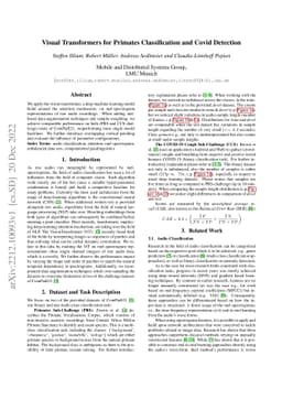 Visual Transformers for Primates Classification and Covid Detection