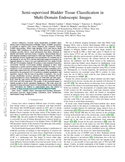 Semi-supervised Bladder Tissue Classification in Multi-Domain Endoscopic
  Images
