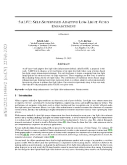 SALVE: Self-supervised Adaptive Low-light Video Enhancement
