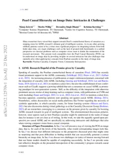Pearl Causal Hierarchy on Image Data: Intricacies & Challenges