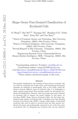 Shape-Aware Fine-Grained Classification of Erythroid Cells