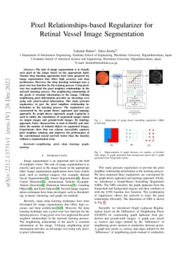 Pixel Relationships-based Regularizer for Retinal Vessel Image
  Segmentation