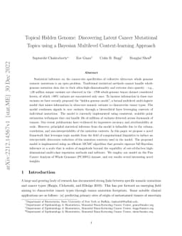 Topical Hidden Genome: Discovering Latent Cancer Mutational Topics using
  a Bayesian Multilevel Context-learning Approach