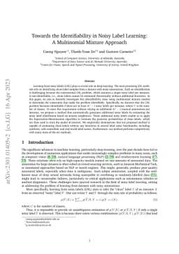 Towards the Identifiability in Noisy Label Learning: A Multinomial
  Mixture Approach