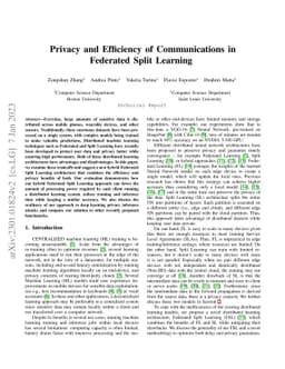 Privacy and Efficiency of Communications in Federated Split Learning
