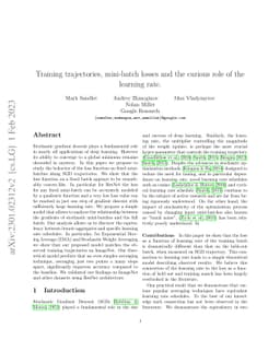 Training trajectories, mini-batch losses and the curious role of the
  learning rate