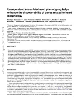 Unsupervised ensemble-based phenotyping helps enhance the
  discoverability of genes related to heart morphology