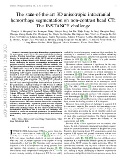 The state-of-the-art 3D anisotropic intracranial hemorrhage segmentation
  on non-contrast head CT: The INSTANCE challenge