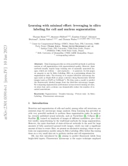 Learning with minimal effort: leveraging in silico labeling for cell and
  nucleus segmentation