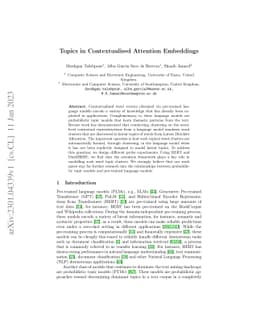 Topics in Contextualised Attention Embeddings