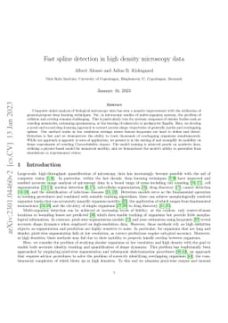 Fast spline detection in high density microscopy data