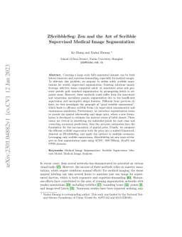 ZScribbleSeg: Zen and the Art of Scribble Supervised Medical Image
  Segmentation