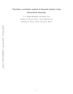 Non-linear correlation analysis in financial markets using hierarchical
  clustering