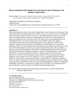 Deep Learning Provides Rapid Screen for Breast Cancer Metastasis with
  Sentinel Lymph Nodes