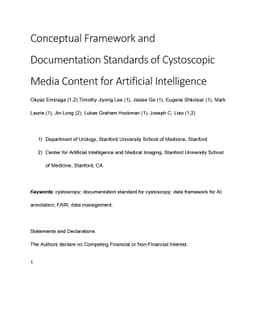 Conceptual Framework and Documentation Standards of Cystoscopic Media
  Content for Artificial Intelligence