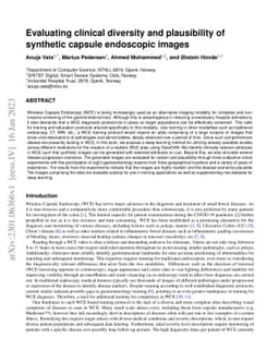 Evaluating clinical diversity and plausibility of synthetic capsule
  endoscopic images