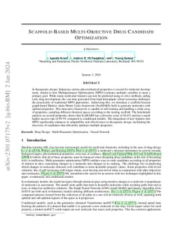 Scaffold-Based Multi-Objective Drug Candidate Optimization
