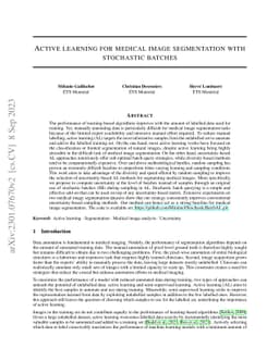 Active learning for medical image segmentation with stochastic batches
