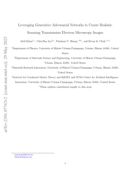 Leveraging generative adversarial networks to create realistic scanning
  transmission electron microscopy images