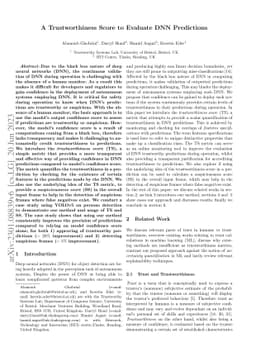 A Trustworthiness Score to Evaluate DNN Predictions