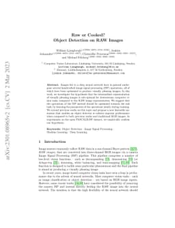 Raw or Cooked? Object Detection on RAW Images