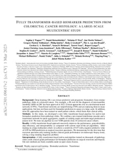 Fully transformer-based biomarker prediction from colorectal cancer
  histology: a large-scale multicentric study