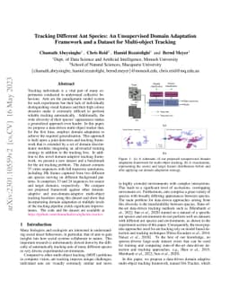 Tracking Different Ant Species: An Unsupervised Domain Adaptation
  Framework and a Dataset for Multi-object Tracking