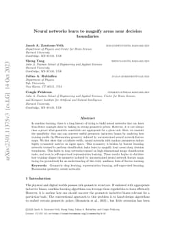 Neural networks learn to magnify areas near decision boundaries