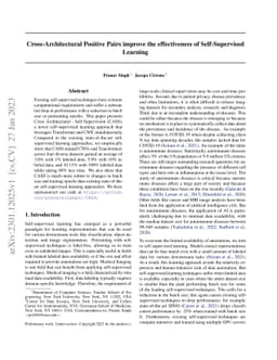 Cross-Architectural Positive Pairs improve the effectiveness of
  Self-Supervised Learning