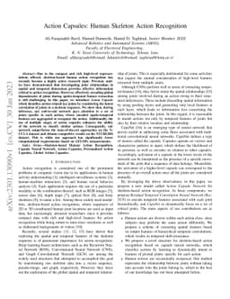 Action Capsules: Human Skeleton Action Recognition