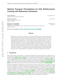 Optimal Transport Perturbations for Safe Reinforcement Learning with
  Robustness Guarantees