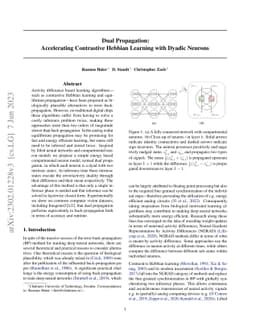 Dual Propagation: Accelerating Contrastive Hebbian Learning with Dyadic
  Neurons