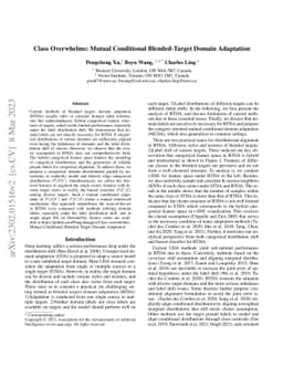 Class Overwhelms: Mutual Conditional Blended-Target Domain Adaptation