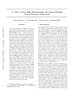 TT-TFHE: a Torus Fully Homomorphic Encryption-Friendly Neural Network
  Architecture