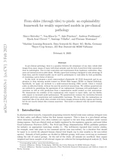 From slides (through tiles) to pixels: an explainability framework for
  weakly supervised models in pre-clinical pathology